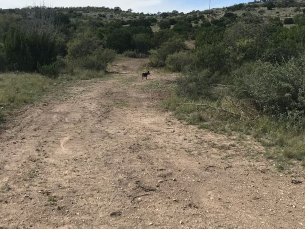 115+/- Acre Freetail Ranch | Ranches for Sale | Trailhawk Ranches ...