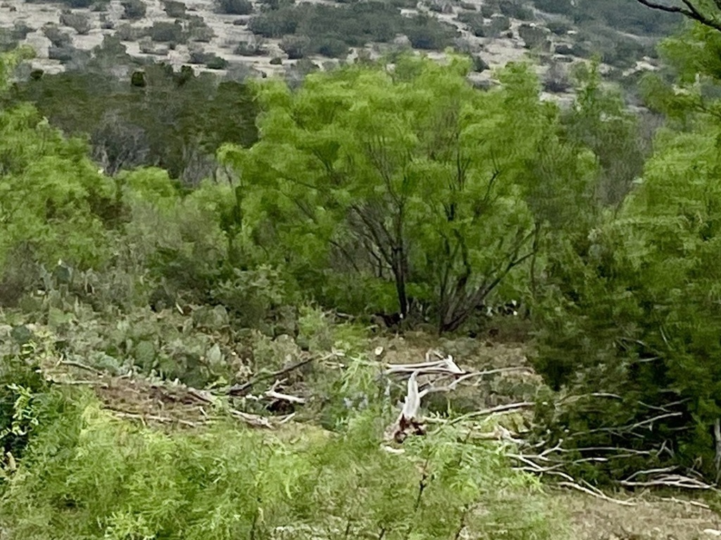 High Lonesome Plateau Ranch | Ranches for Sale | Trailhawk Ranches ...